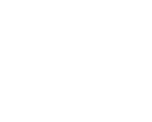 Program